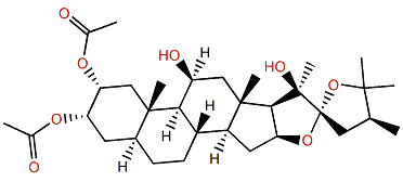3-Acetyl-22-epihippurin 1